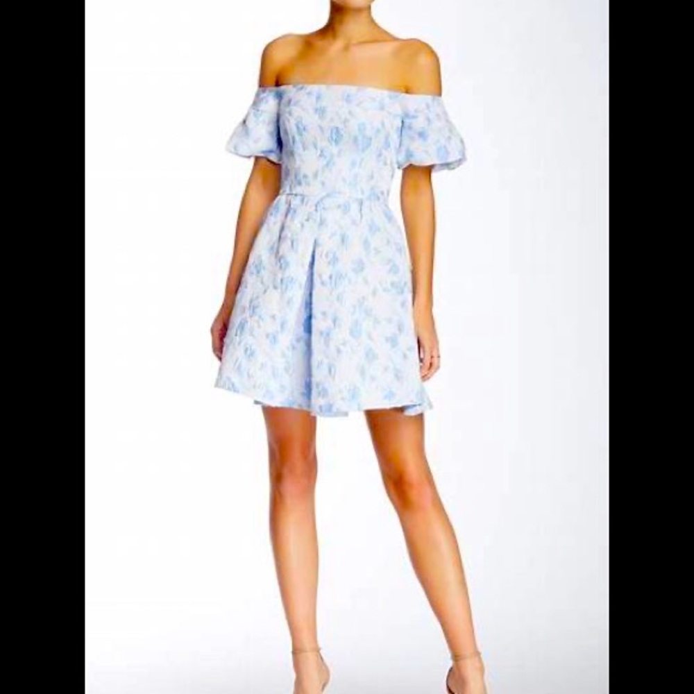 Cynthia  Rowley Jacquard Off the Shoulder Dress NWT